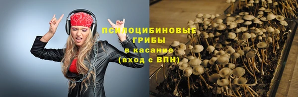 прущий лед Богородск