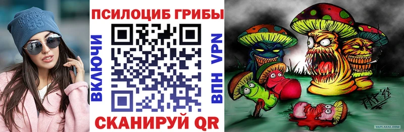 сайты даркнета телеграм  Кропоткин  Галлюциногенные грибы Magic Shrooms 